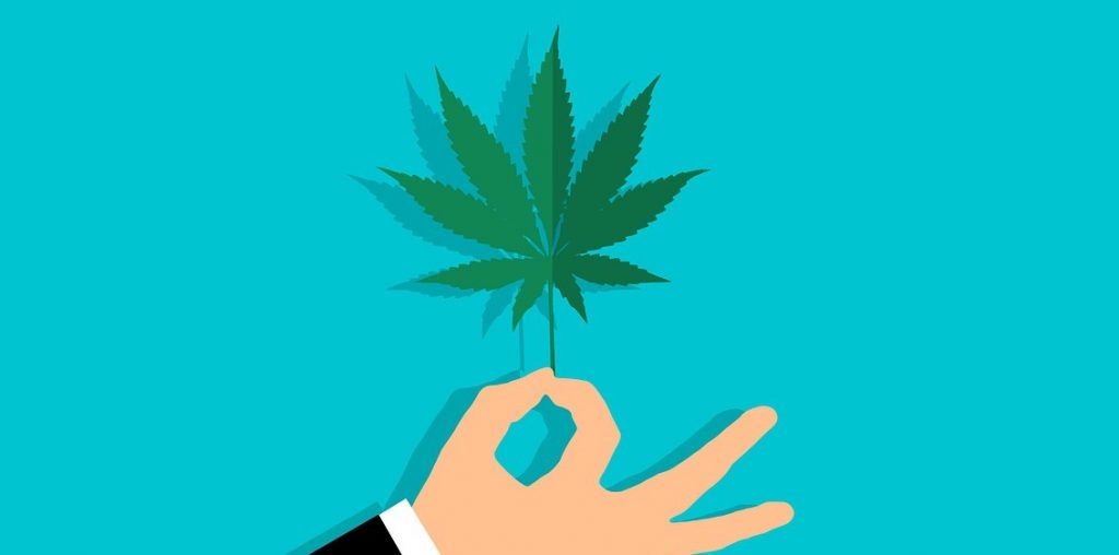 Image of a cannabis leaf being held