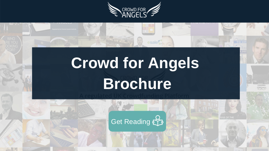Crowd for Angels Brochure