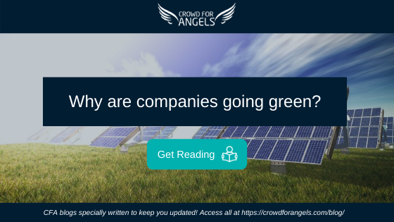 Why are companies going green?